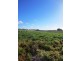 Lot 6 Gratton Street, Port Fairy VIC 3284