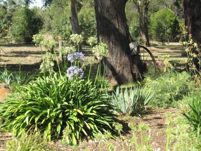 12 Church Street, Hawkesdale VIC 3287