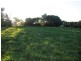 217 Princes Hwy, Port Fairy VIC 3284