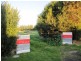 217 Princes Hwy, Port Fairy VIC 3284