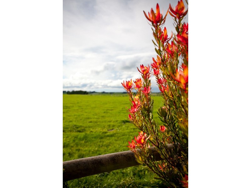 23 Korongah Road, Rosebrook VIC 3285