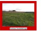 60 Philip Street, Port Fairy VIC 3284