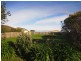 174 Princes Hwy, Port Fairy VIC 3284