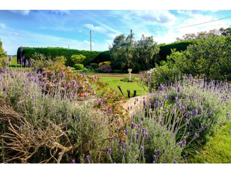 1554 Princes Hwy, Port Fairy VIC 3284