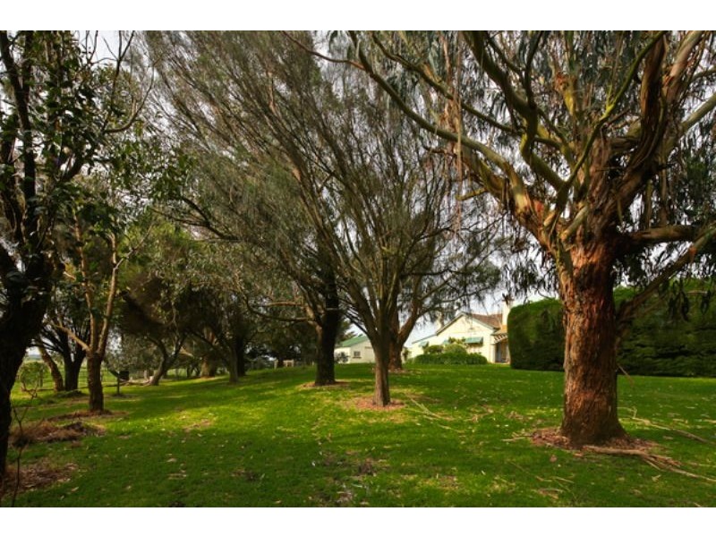 1554 Princes Hwy, Port Fairy VIC 3284