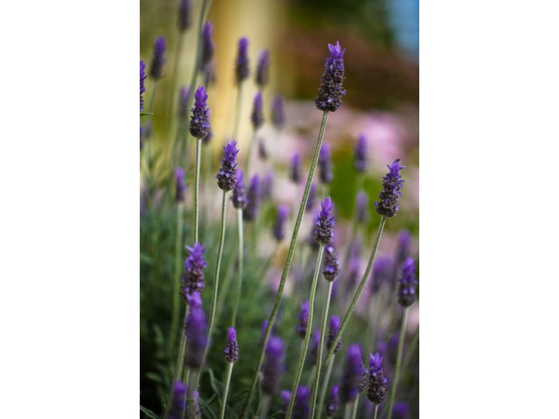 1554 Princes Hwy, Rosebrook VIC 3285