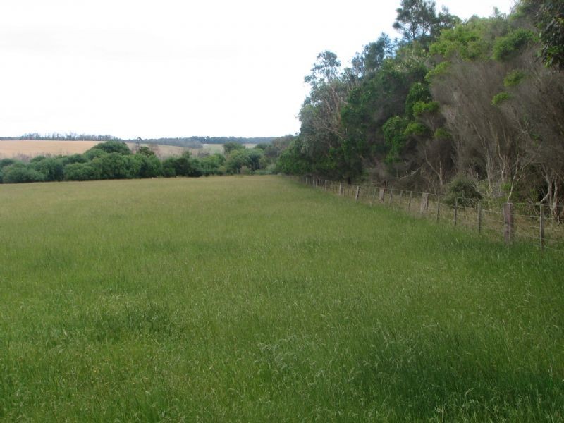 47 Ettrick-Tyrendarra Road, Tyrendarra VIC 3285