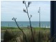 2/105 Beach Street, Port Fairy VIC 3284