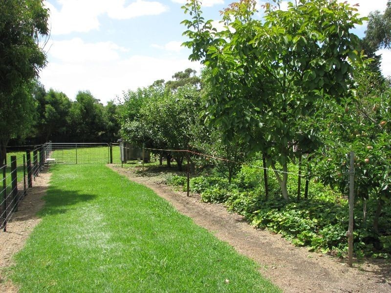 58 Austin Street, Hawkesdale VIC 3287