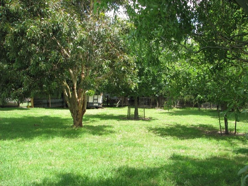 60 Austin Street, Hawkesdale VIC 3287