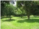 60 Austin Street, Hawkesdale VIC 3287