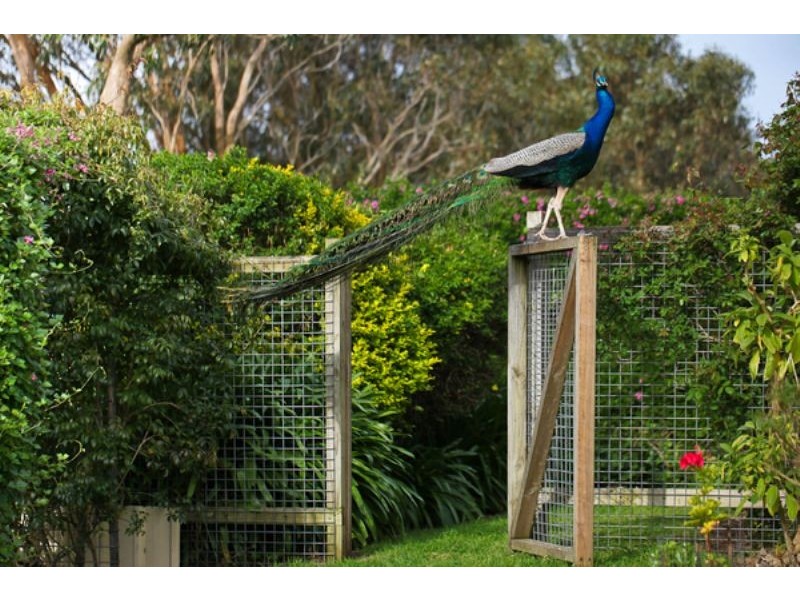 1554 Princes Hwy, Port Fairy VIC 3284