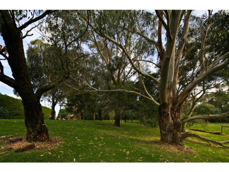 1554 Princes Hwy, Port Fairy VIC 3284