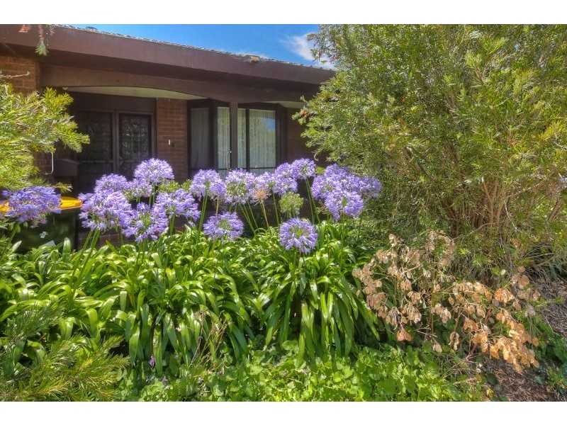 111-113 Princes Hwy, Port Fairy VIC 3284