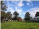 127 Princes Hwy, Port Fairy VIC 3284