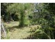 141 Princes Hwy, Port Fairy VIC 3284