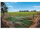 Lot 3, Toolong Road, Port Fairy VIC 3284