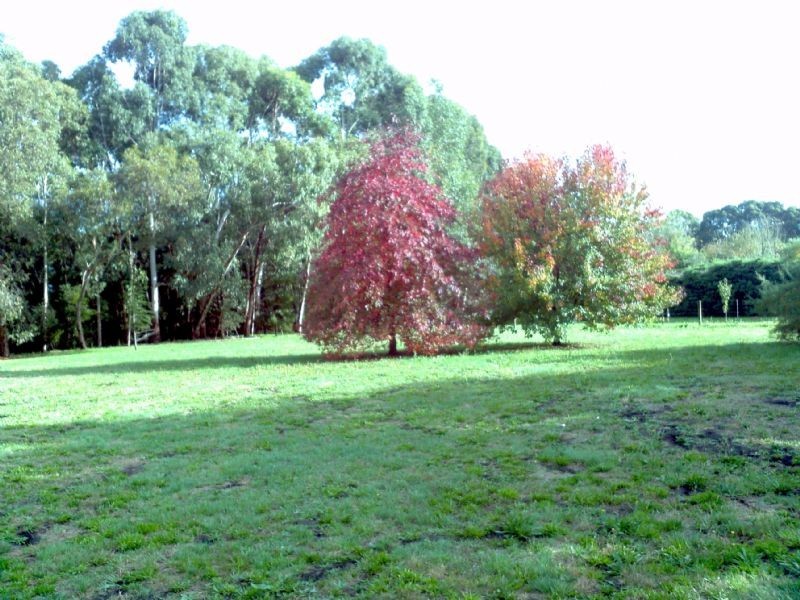 Lot 1/ 47 Aire Street, Kirkstall VIC 3283