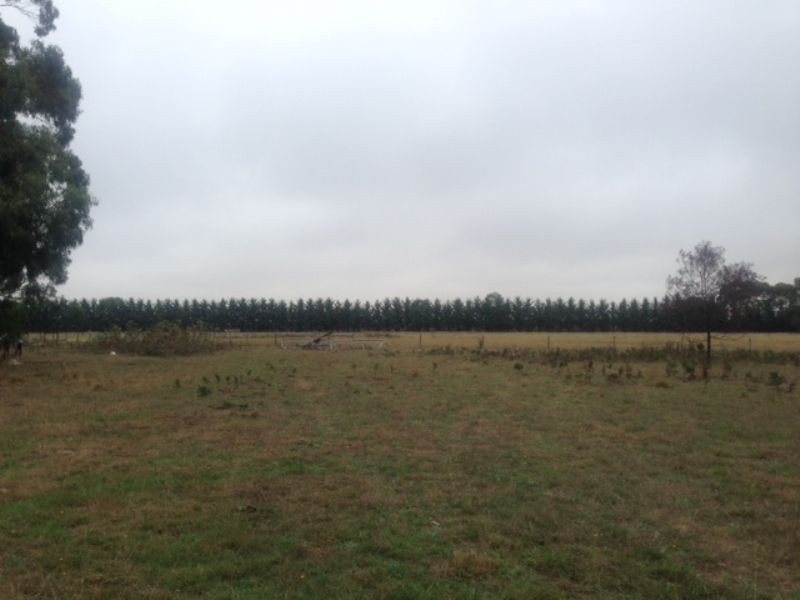 Lot 41 Warwillah Road, Hawkesdale VIC 3287