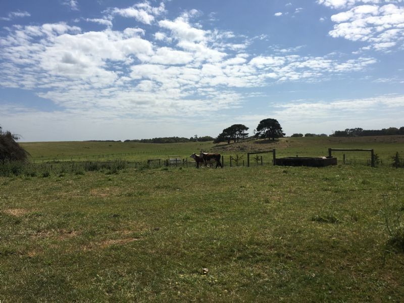 Crn of Sharkeys Rd & Ross Lane, Port Fairy VIC 3284