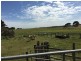 Crn of Sharkeys Rd & Ross Lane, Port Fairy VIC 3284