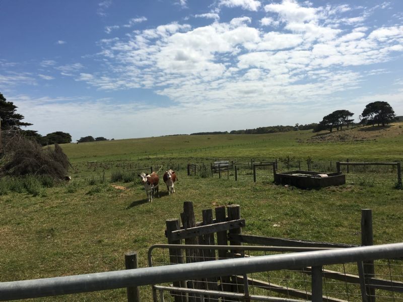 Crn of Sharkeys Rd & Ross Lane, Port Fairy VIC 3284