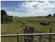Crn of Sharkeys Rd & Ross Lane, Port Fairy VIC 3284