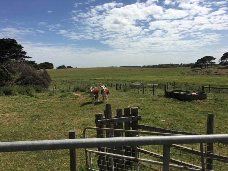 Crn of Sharkeys Rd & Ross Lane, Port Fairy VIC 3284