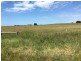 Crn of Sharkeys Rd & Ross Lane, Port Fairy VIC 3284