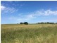 Crn of Sharkeys Rd & Ross Lane, Port Fairy VIC 3284