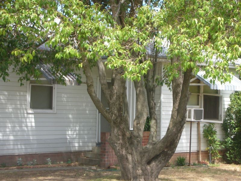 992  Corella Street, North Albury NSW 2640