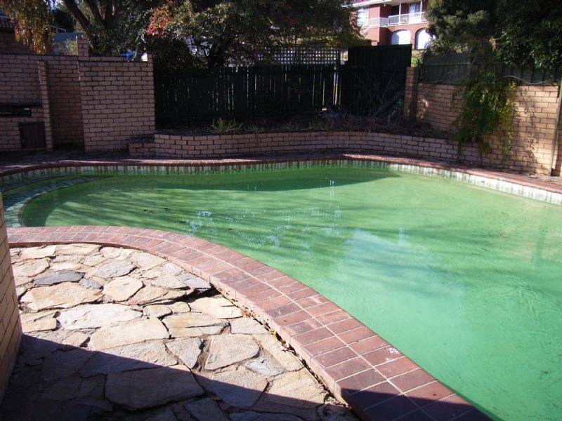 318 Tracy Street, Lavington NSW 2641