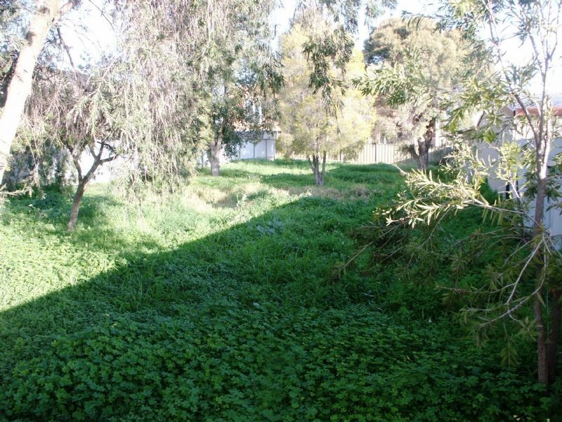 361 Wilson Street , Albury NSW 2640