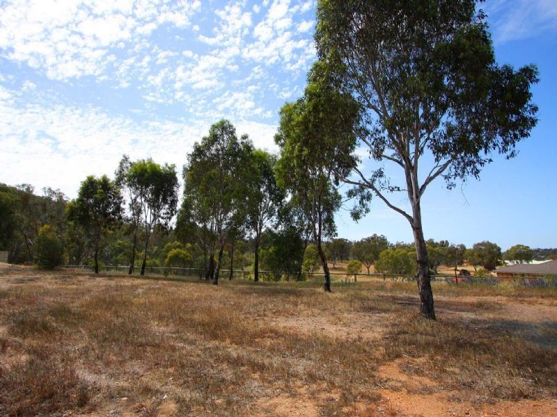 54 Gould Avenue , Albury NSW 2640