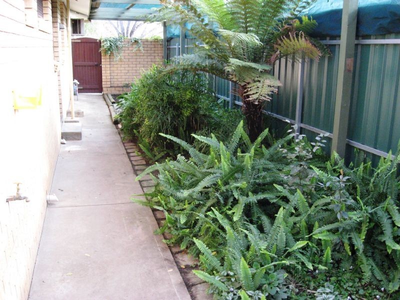 6 Jackling Drive, Lavington NSW 2641