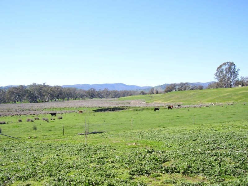 20 Quonoey Road, Kiewa VIC 3691