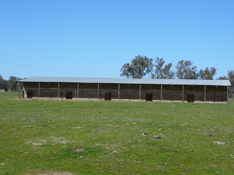 Rutherglen VIC 3685