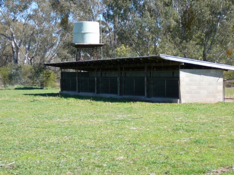 Rutherglen VIC 3685