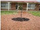 71 Mayfair Drive, Wodonga VIC 3690