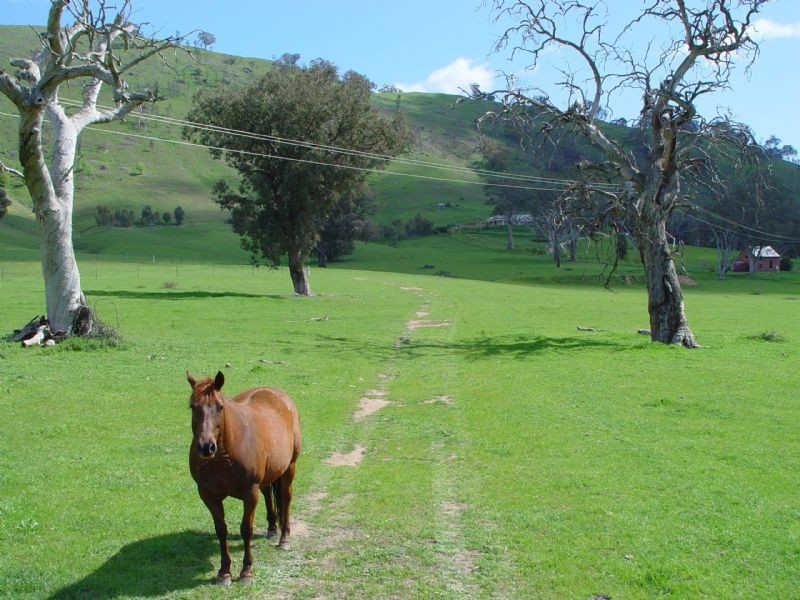 2985 Murray Valley Highway , Ebden VIC 3691