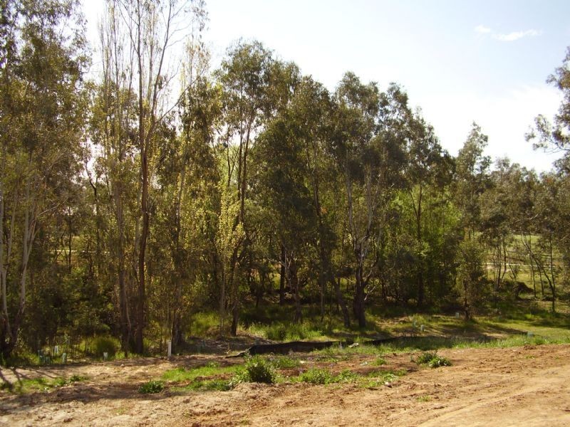 63 Golf Links Ave, Wodonga VIC 3690