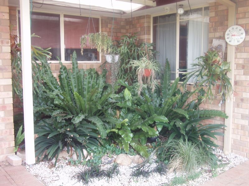 4 Falcon Circuit, Wodonga VIC 3690