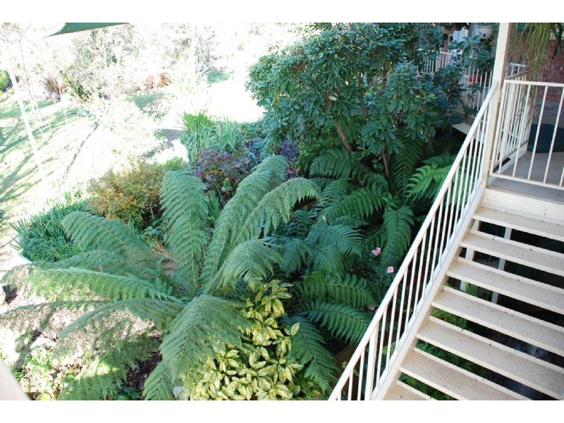 12 Michelle Drive, Kiewa VIC 3691