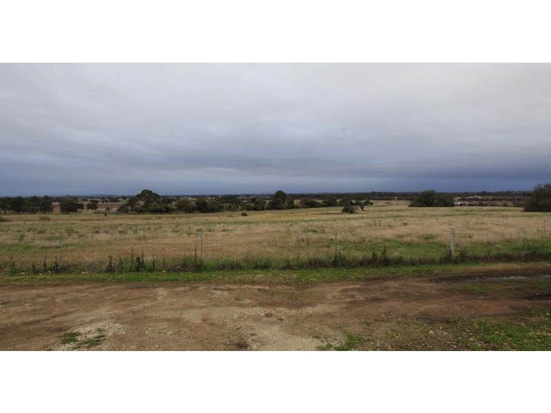 16 Hunter Street, Rutherglen VIC 3685