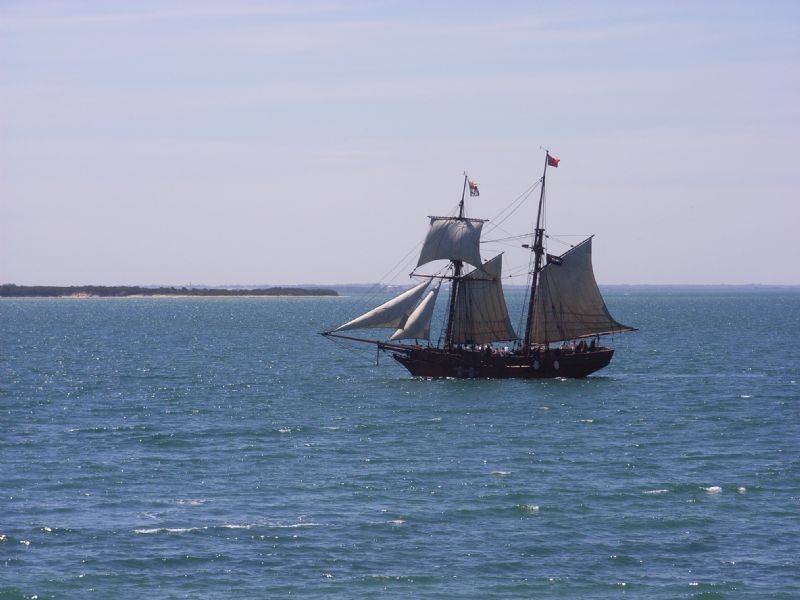 113 The Waves Apartment, Cowes VIC 3922