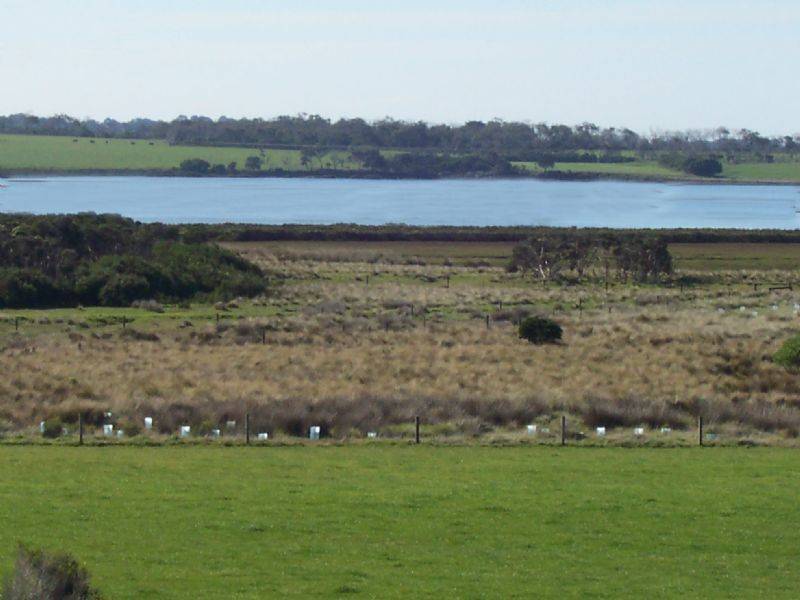 161 Phillip Island Road, Surf Beach VIC 3922