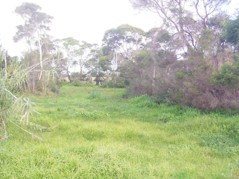 57 Churchill Drive, Cowes VIC 3922