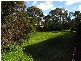 24 Churchill Drive , Cowes VIC 3922