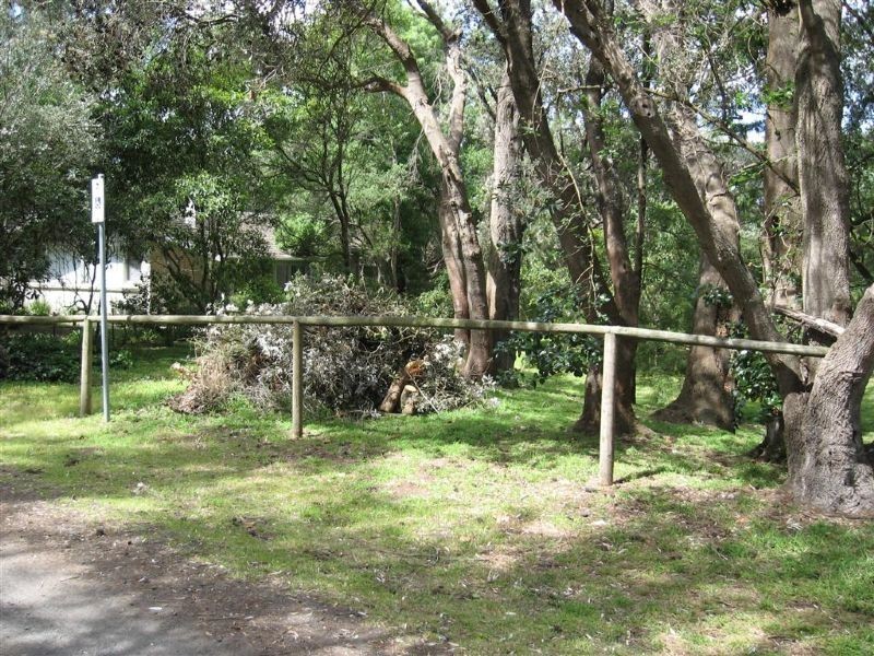 8 Woodland Avenue, Silverleaves VIC 3922