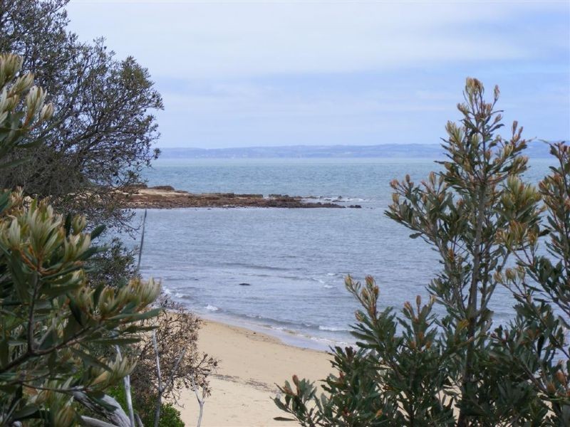 13-15 Chatsworth Avenue, Ventnor VIC 3922